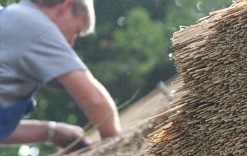 professional Rhoshirwaun thatchers